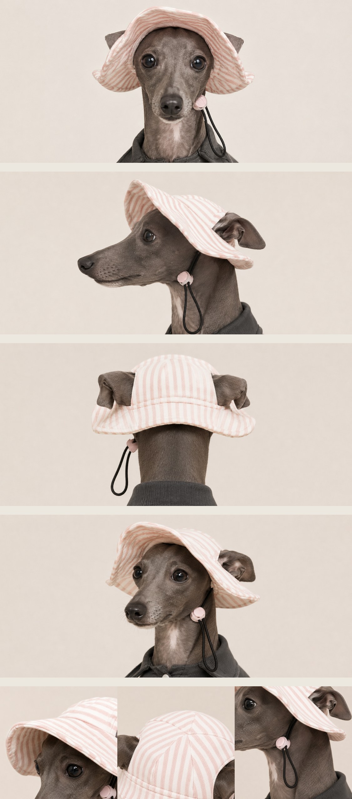 宠物防晒帽（基础款）宠物纸样 — basic_pet_sun_hat_stitched_1783577291846