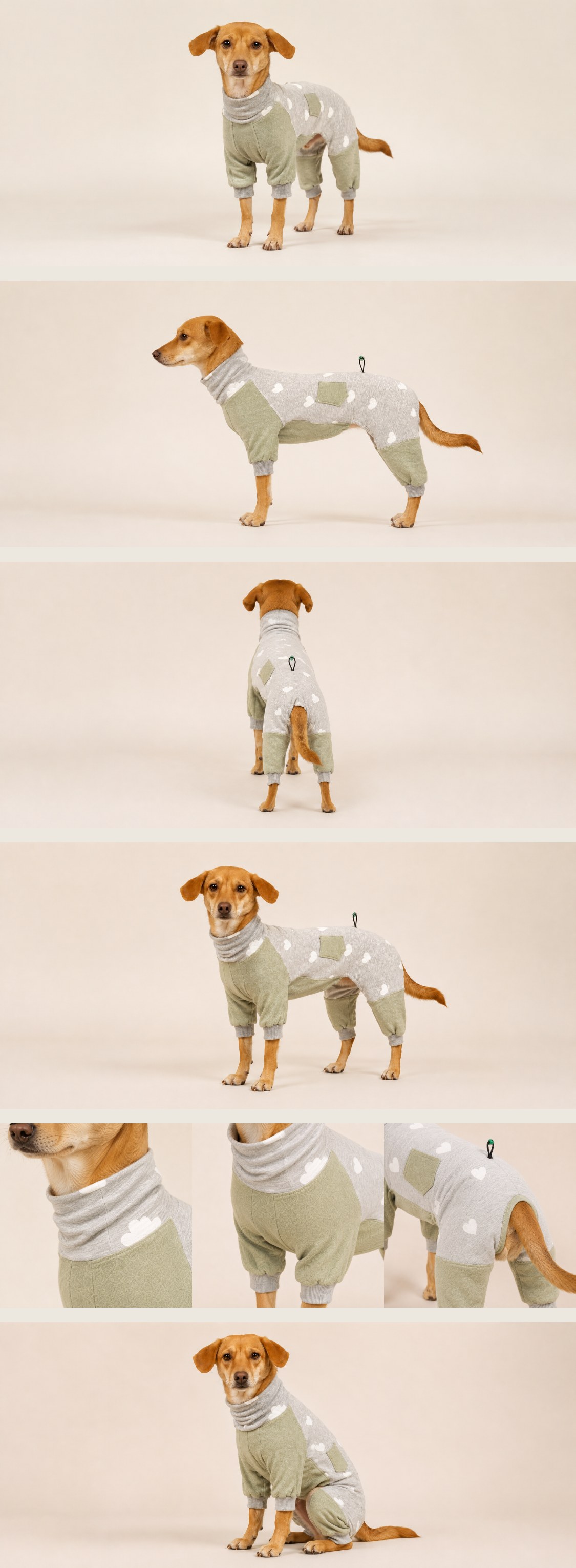 连体四脚衣（基础款）宠物纸样 — jumpsuit_stitched_1783074562230