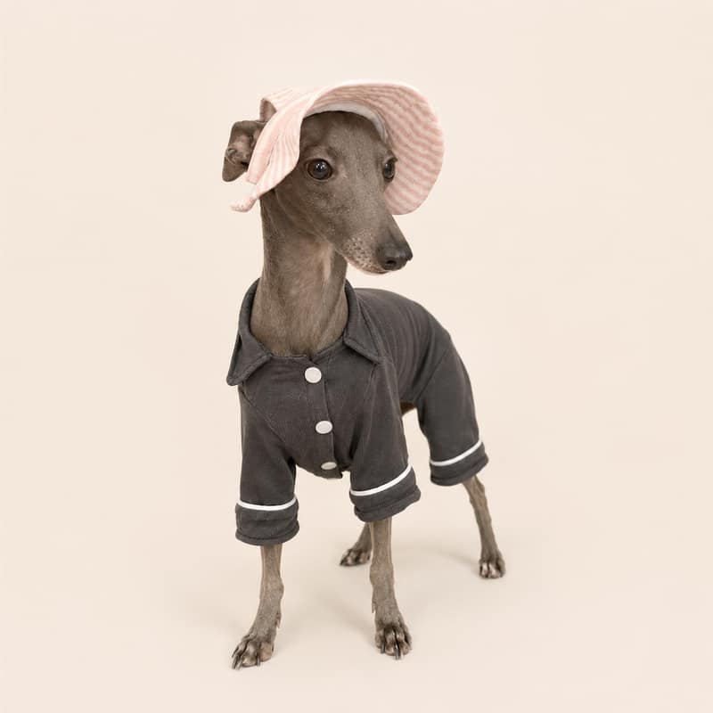 宠物防晒帽（基础款）宠物纸样 — select-basic_pet_sun_hat